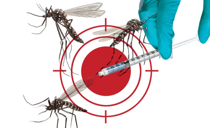 RS deve receber primeiro lote de vacinas contra a dengue nos próximos dias