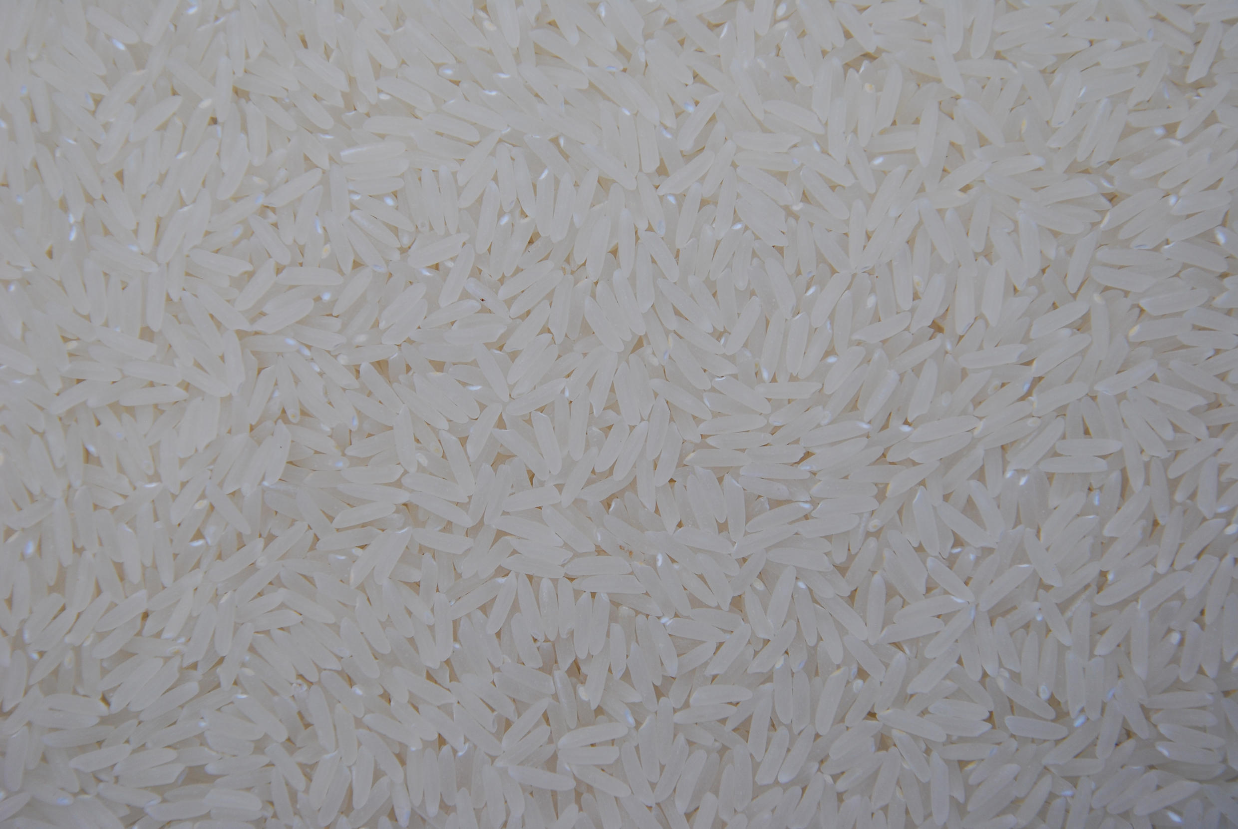 Enchentes no RS: Conab é autorizada a importar arroz