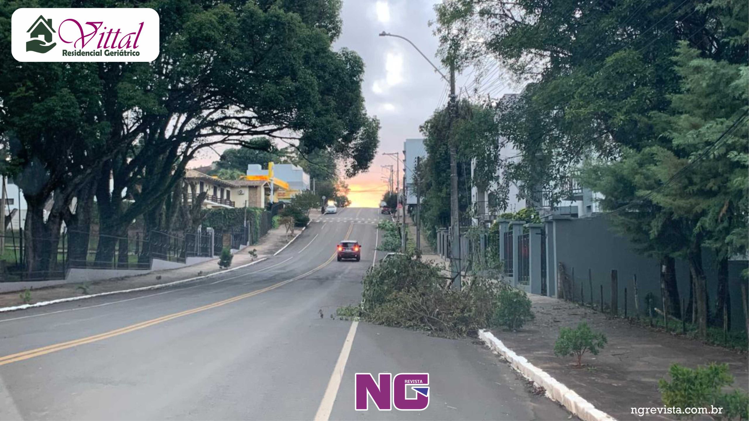 Poda e coleta de galhos segue nesta semana na área central da cidade