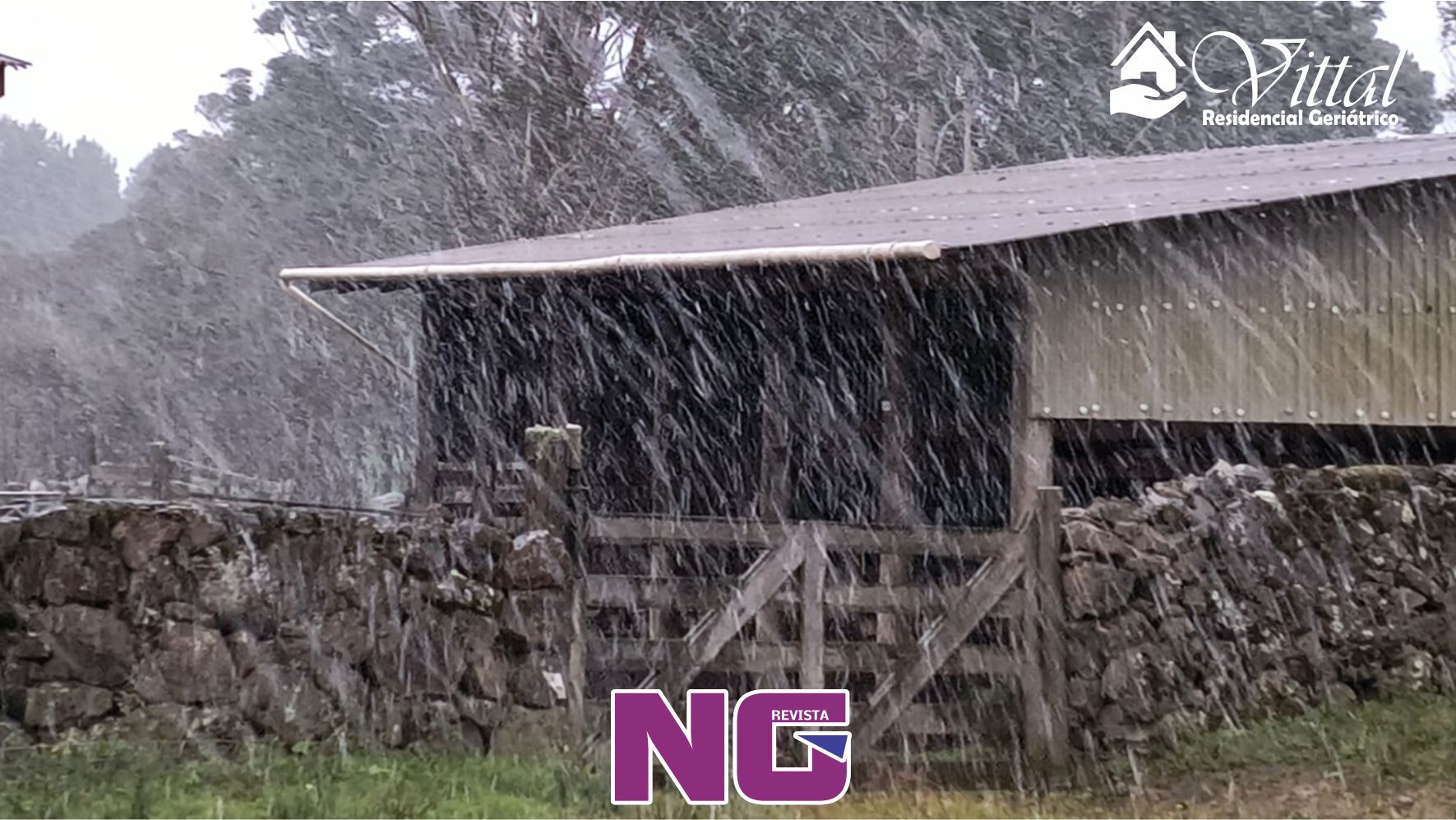 Neve chega ao Rio Grande do Sul e cobre de branco a região dos Campos de Cima da Serra